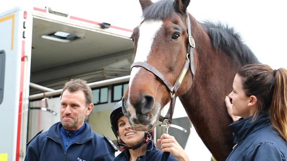 Redland at HorseWorld, Bristol