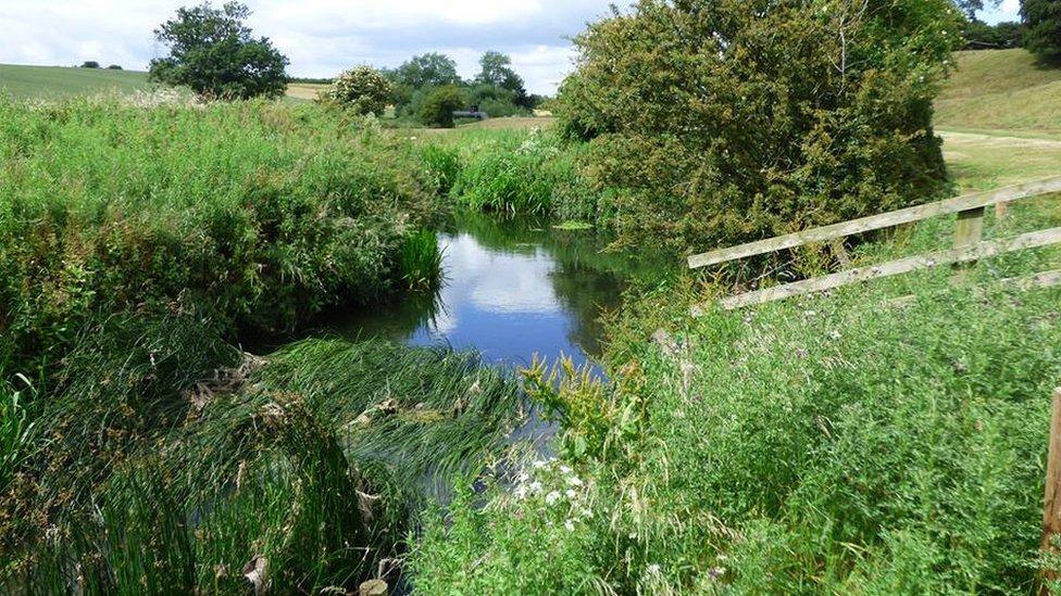 River Skerne at Barmpton