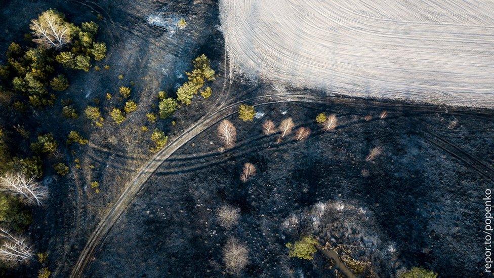 Aerial photo of a burnt forest