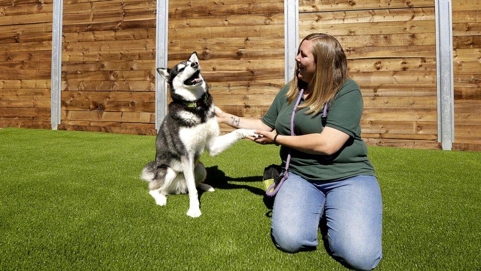 Edinburgh Dog and Cat Home