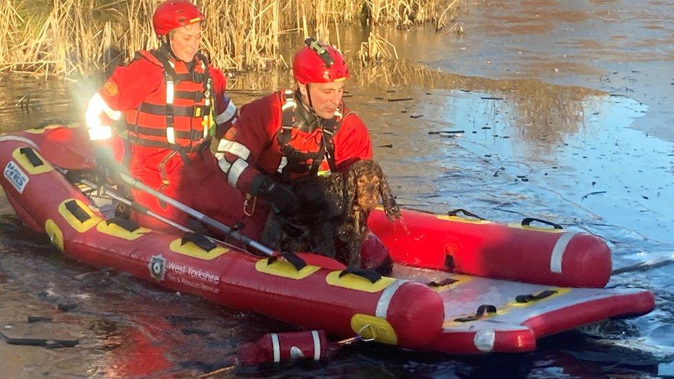 Firefighters and a dog on a dinghy