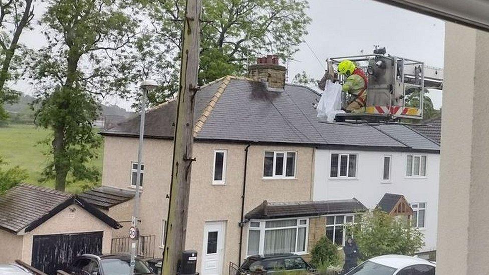 A firefighter wrapping the rescued owl in a bed sheet