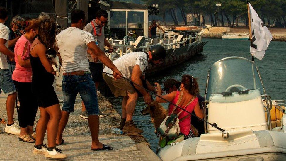 People evacuate by boats during a wildfire at Nea Anchialos, near Volos, Greece 27 July 2023.