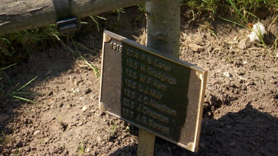 Plaque at the base of a tree