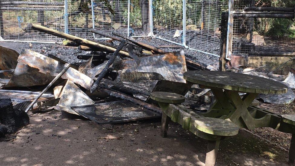 Damage to the enclosure, taken on Friday morning