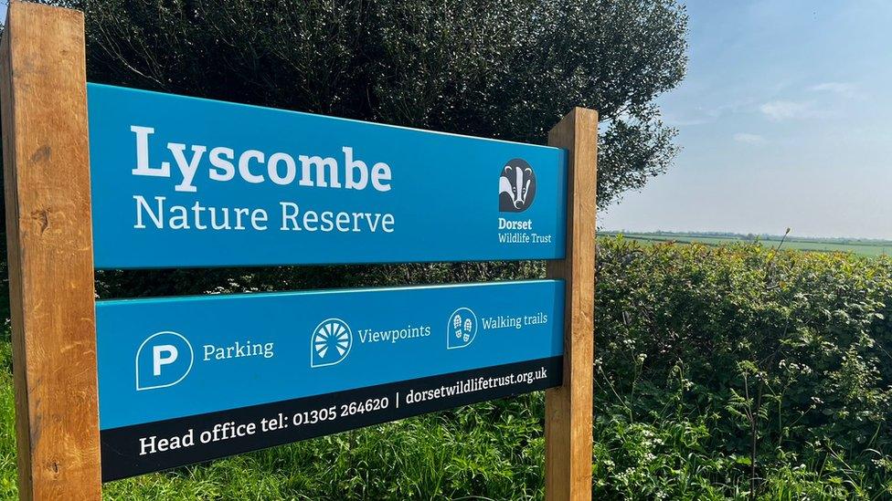 Lyscombe