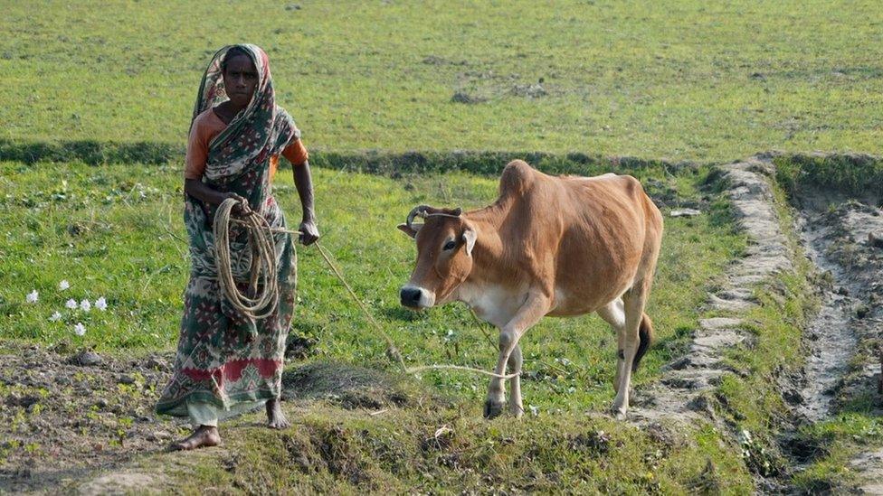 Framland in Bangladesh's northern Rajshahi district