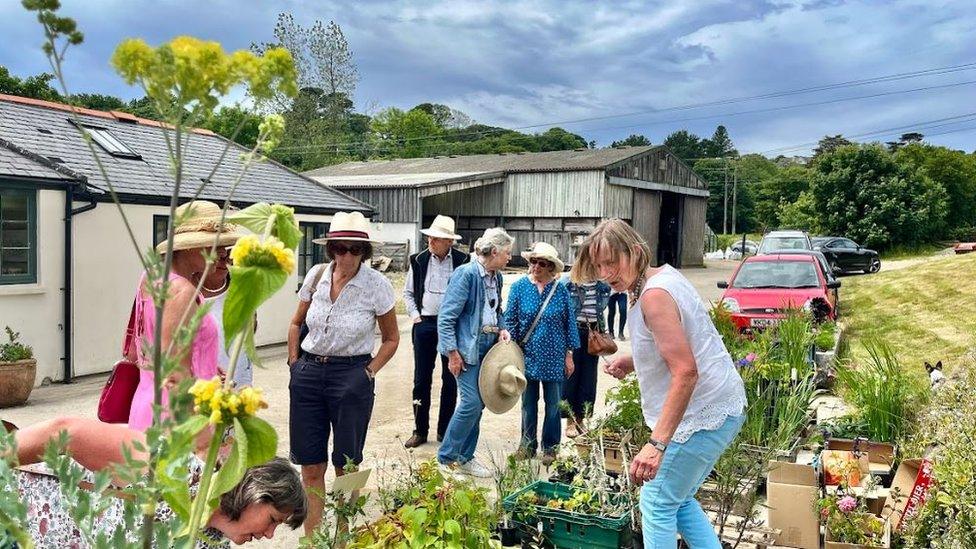 A plant sale to raise money for the scheme