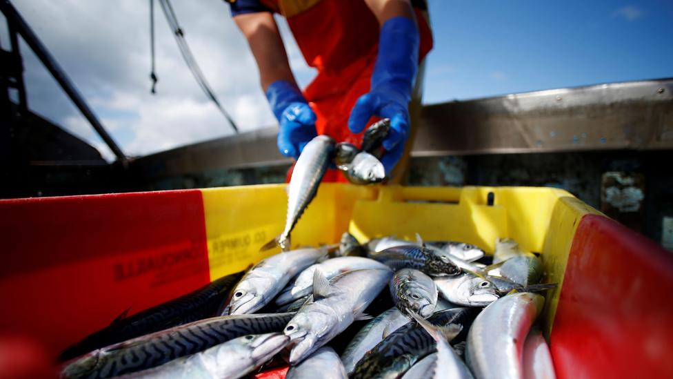 French trawler, file pic 31 Jul 18