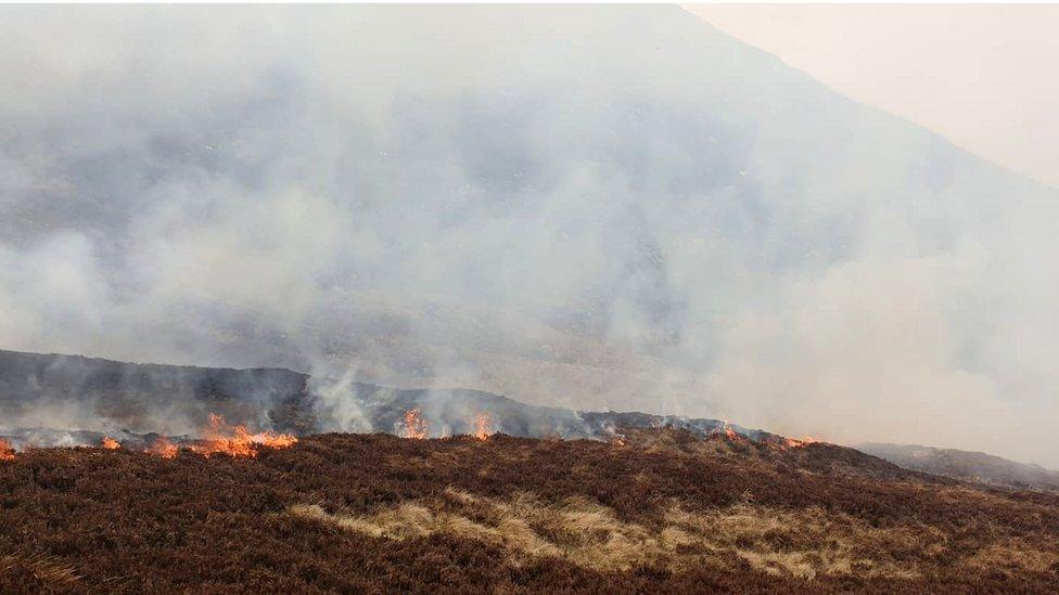 Gorse fire Mournes