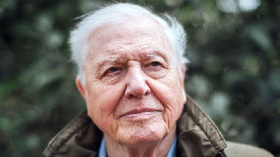 Sir David Attenborough