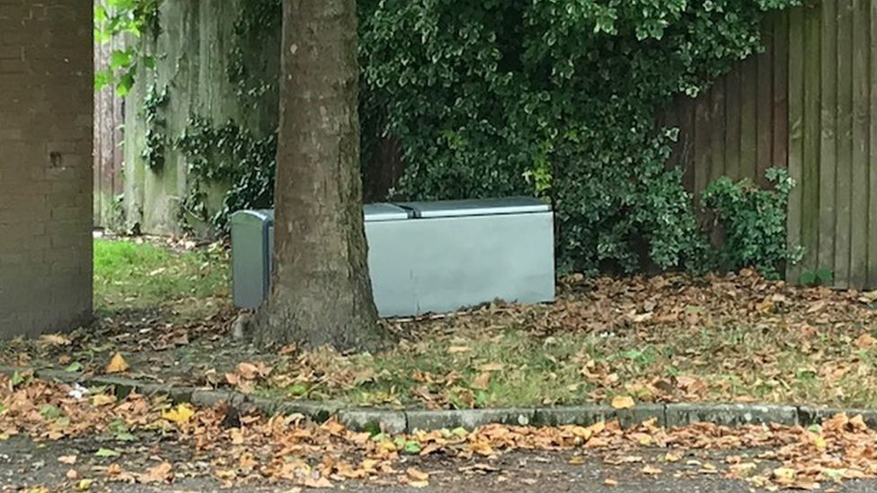 Dumped fridge