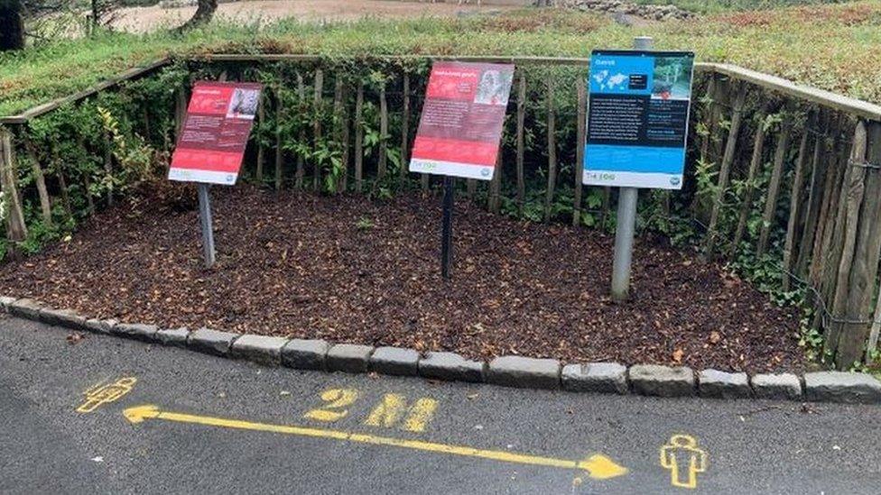 There are social distancing markers for two metres at the zoo