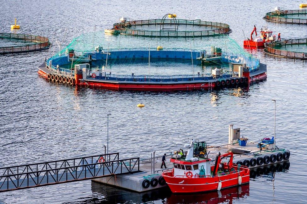 Fish pens in Norway