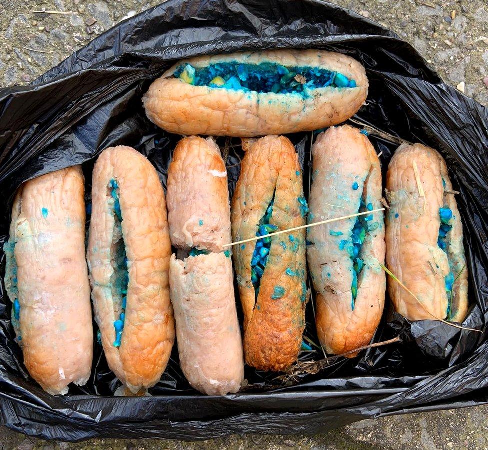 Sausages filled with what is believed to be rat poison