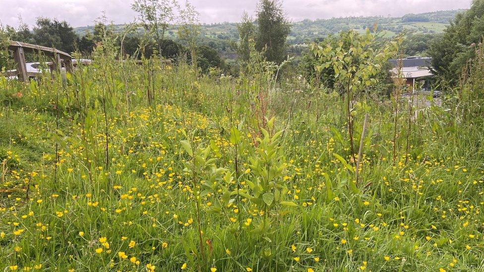 Field near Matlock's Arc leisure centre