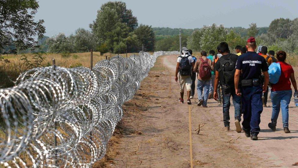 A policeman escorts migrants on the Hungarian-Serbian border in Asotthalom, Hungary on 13 August 2015