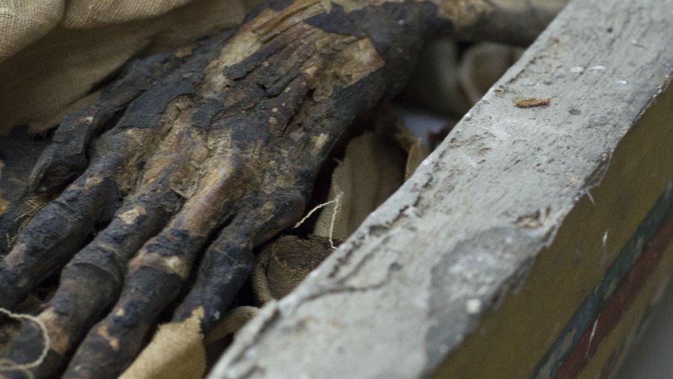 The mummy's hand