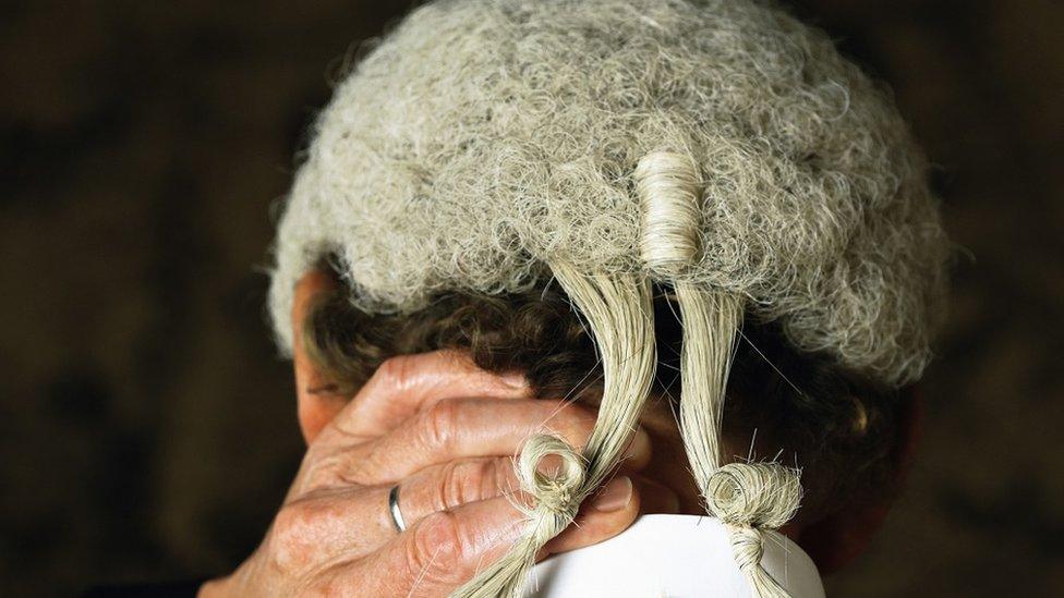 Barrister wig