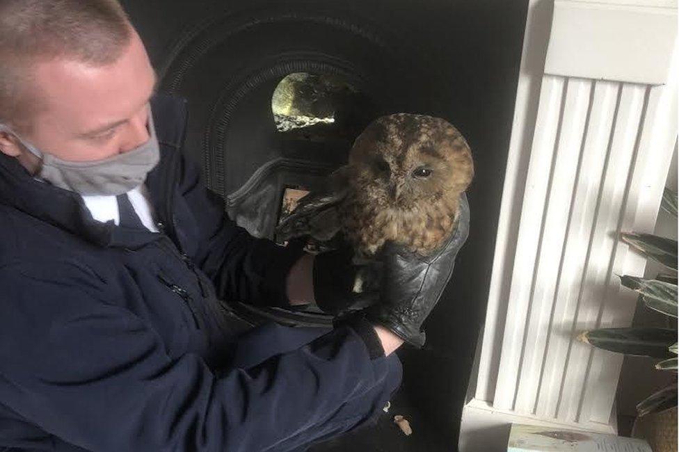 RSPCA animal rescue officer Dean Wilkins