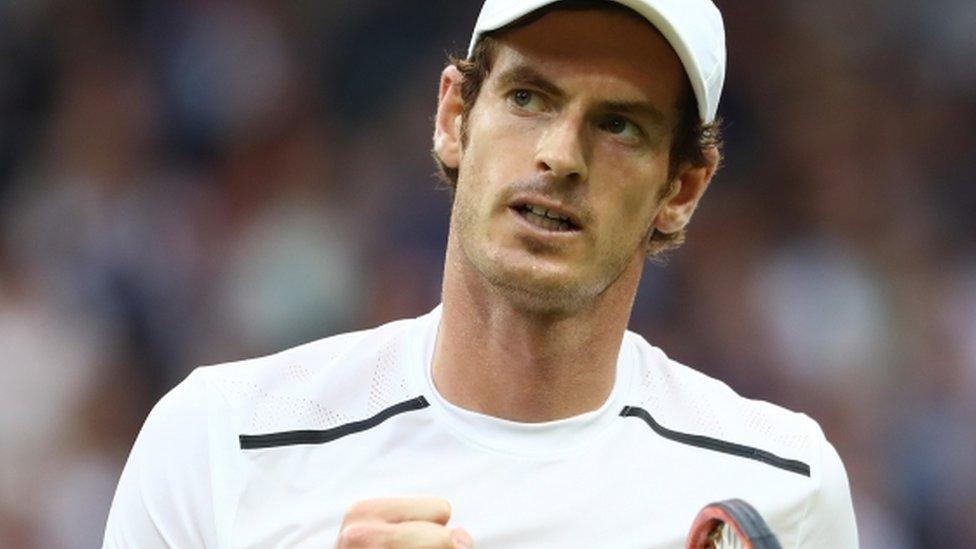 Andy Murray celebrates a winning point at Wimbledon