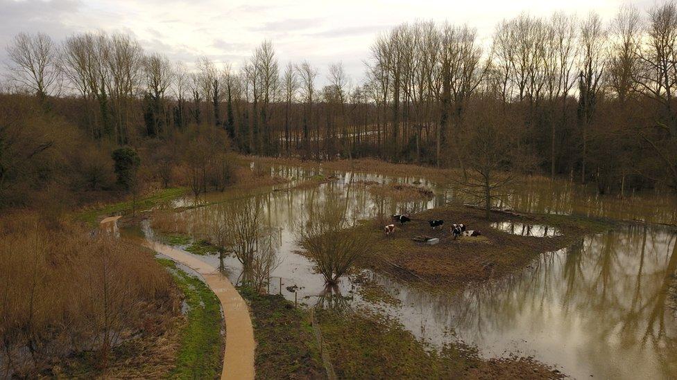 Sculthorpe Moor