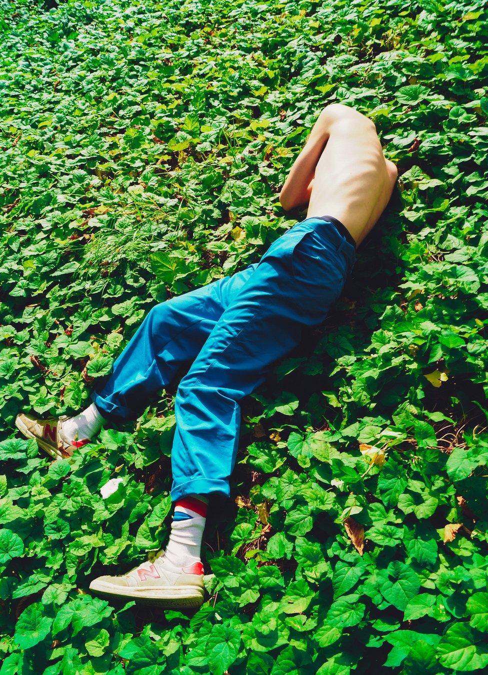 A boy lies amongst the plants