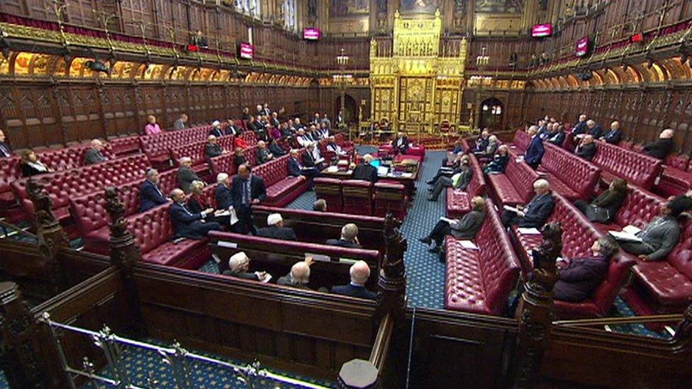 The Lords chamber just before the disturbance