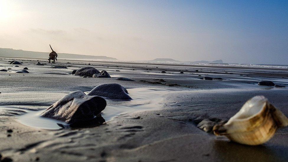 Rhossili, Gower