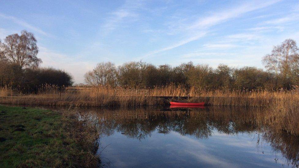 Wicken Fen