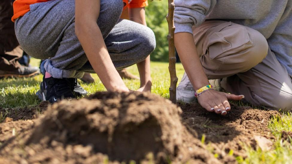 Children planting trees