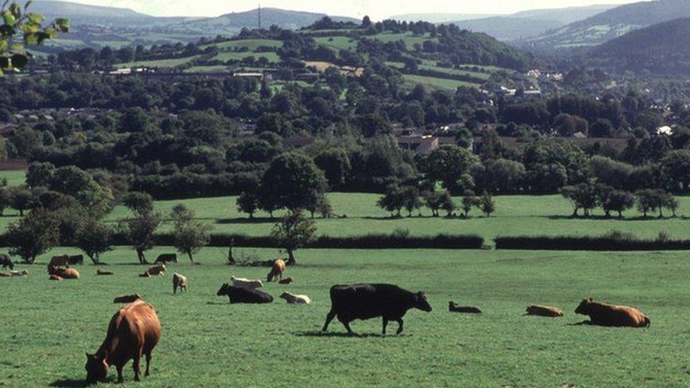 Rural Wales