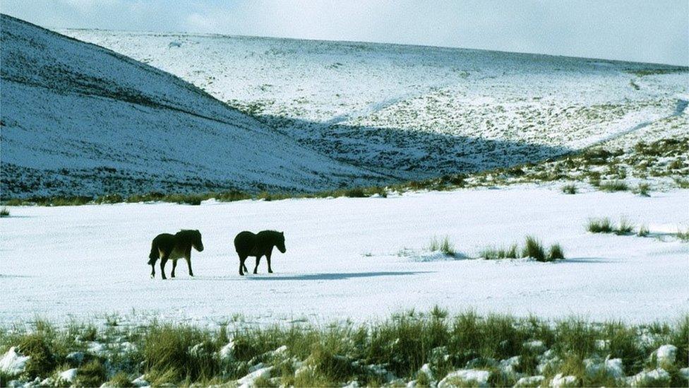 Exmoor in winter