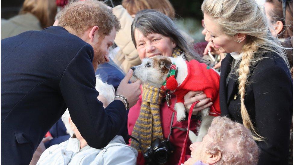 Prince Harry meeting members of the public