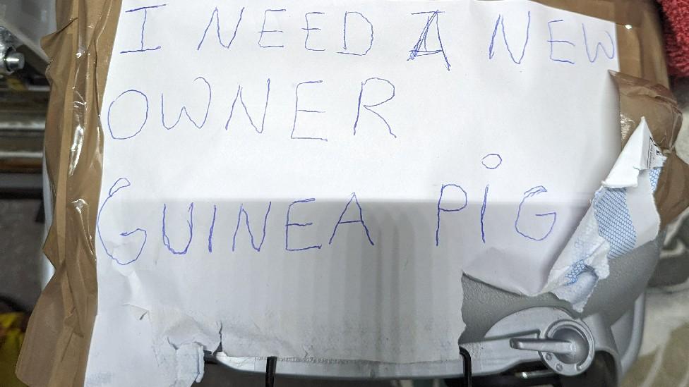 Note left on cage with guinea pig