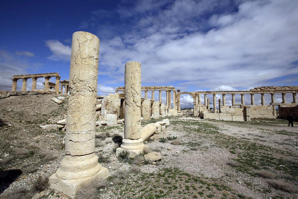 Palmyra