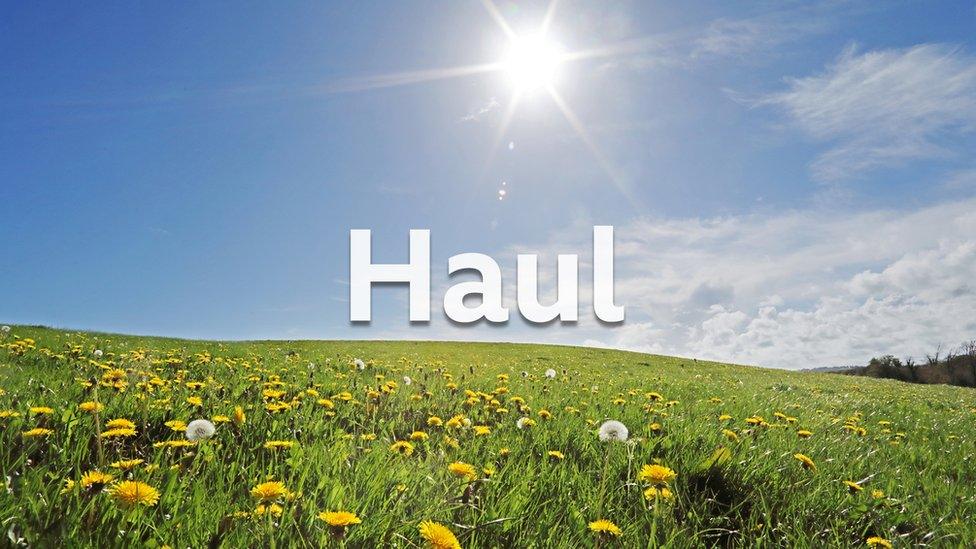 Haul - llun dolydd a haul yn yr awyr