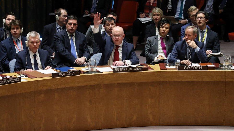 Russian Ambassador to the United Nations Vasily Nebenzya voted in favour of a resolution at the UN security council to condemn a US strike against Syria.