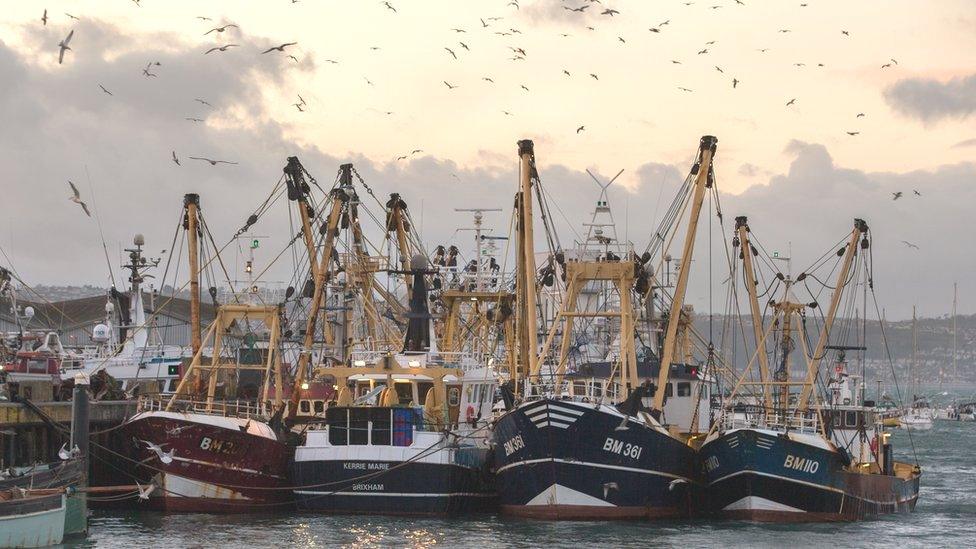 Fishing boats moored in Brixham harbour