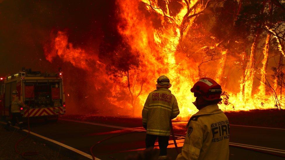 Fire and Rescue staff near a bush fire in Bilpin - 19 December