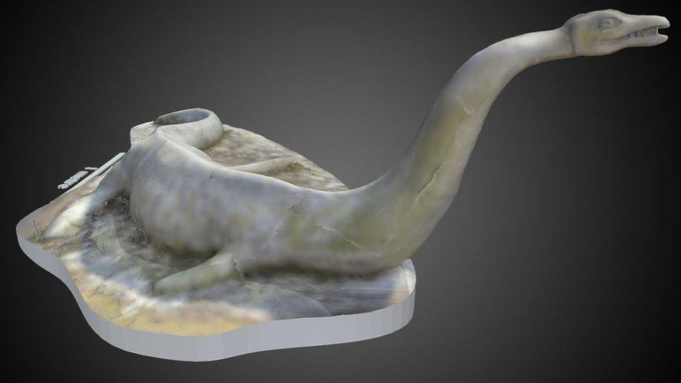 Plesiosaurus’ hawkinsii 3D model