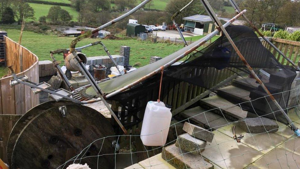 Y difrod yng ngardd Allana Silvestri-Jones yn Nhalgarreg, Ceredigion // The damage in Allana Silvestri-Jones' garden in Talgarreg, Ceredigion