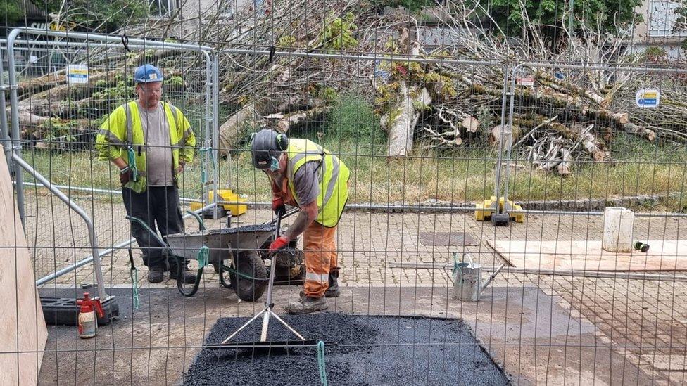 Tree stump removal