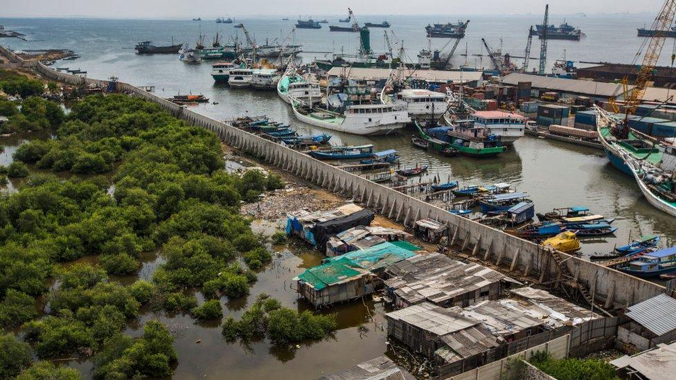 Aerial picture of Jakarta's giant sea wall