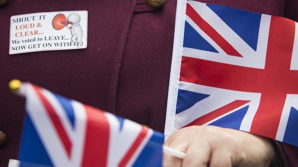 Woman wearing a pro-Brexit badge, holding two British flags