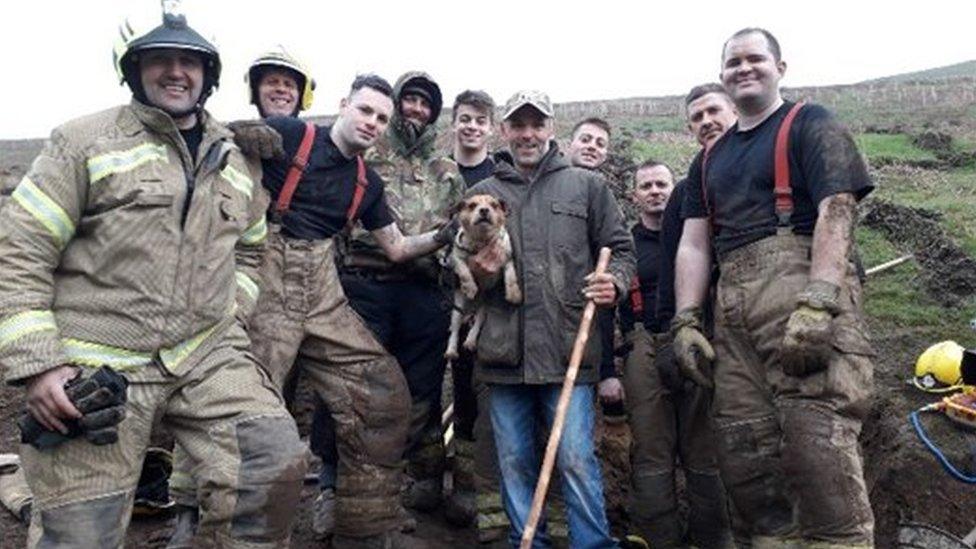 Firefighters' rescue of dog stuck down rabbit hole