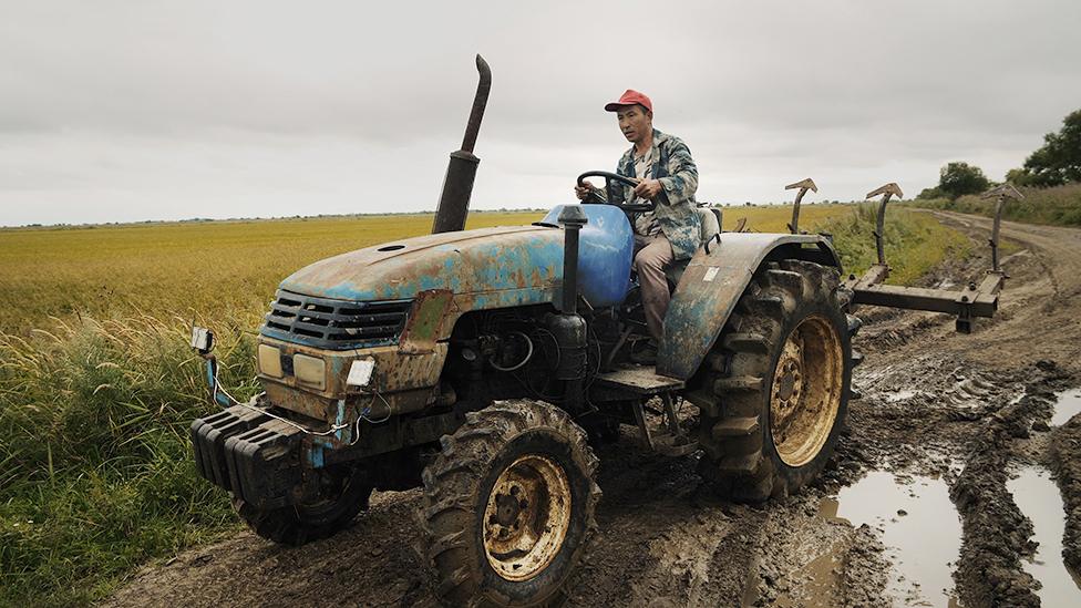 A Chinese tractor driver