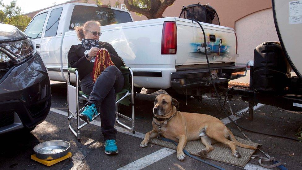 A woman is knitting beside her large brown dog