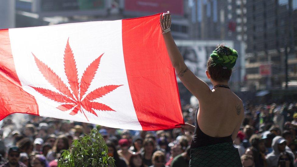 420 celebrations at Yonge Dundas square.