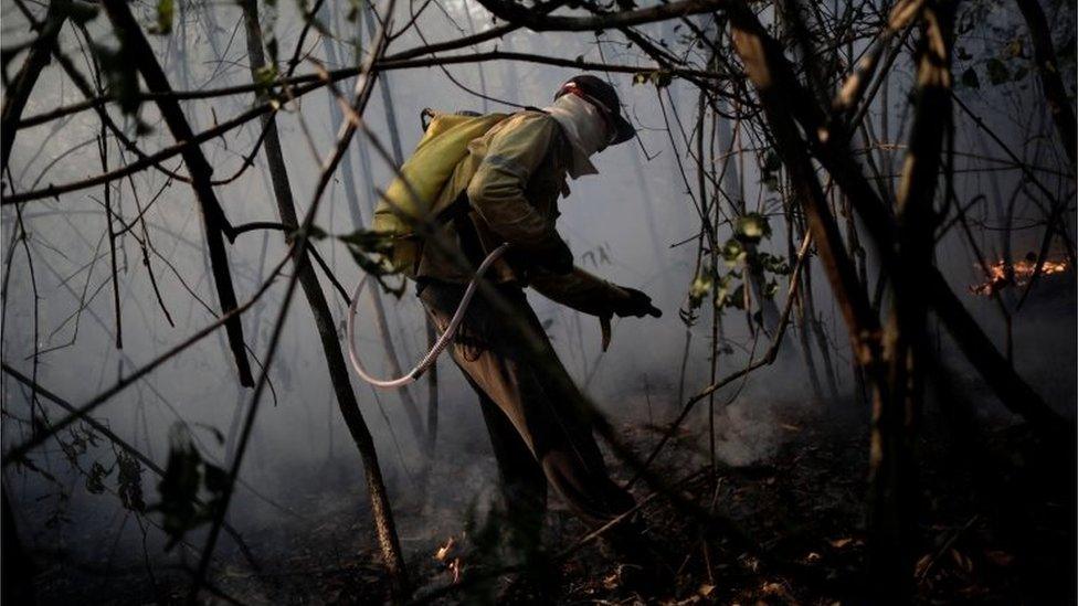 A volunteer works to put out a forest fire in an area of Chapada dos Veadeiros National Park, in Alto Paraiso, Goias, Brazil, October 24, 2017